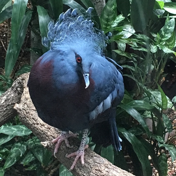 Meet your Posher, Sherry - Picture 1 of 1